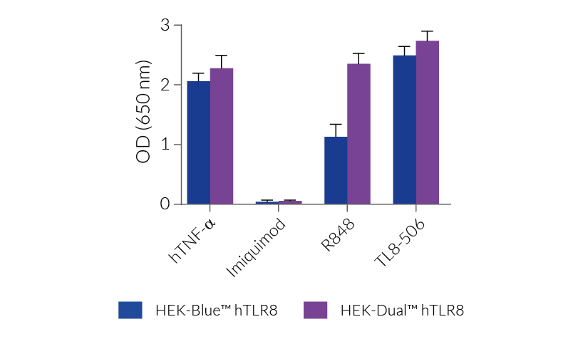 NF-κB response compared to HEK-Blue™ hTLR7